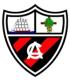 Escudo equipo Arenas Club 013